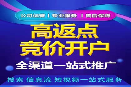 百度SEM广告投放的创意与执行：成功案例详解